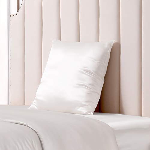 THXSILK 25 Momme Seide Kissenbezug für Haar und Haut - Maulbeerseide Kissenbezug - Hypoallergen mit Versteckter Reißverschluss - Pure Seide auf Beide Seiten … (Weiß, 80x80cm)