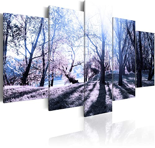 B&D XXL Acrylglasbild Natur 100x50 cm 5 Teilig Wandbild auf Acryl Glasbilder Kunstdruck Moderne Acrylglas Platte Wanddekoration Geschenke Heimdekoration Glasbild Bäume Wald Park c-B-0030-k-p