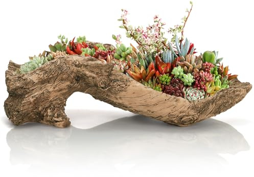 Pumtus Maceta artificial de madera flotante, maceta de resina para suculentas, maceta creativa de imitación de madera, tronco de tronco de bonsái, contenedor rústico de cactus con agujero de drenaje