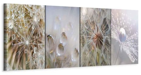 murando - Wandbilder Set Pusteblume 60x60 cm 4 Teilig je 30x30 Vlies Leinwandbild Kunstdruck modern Wandbilder XXL Wanddekoration Design Wand Bild mehrteilig Natur Blumen Tau bokeh Natur
