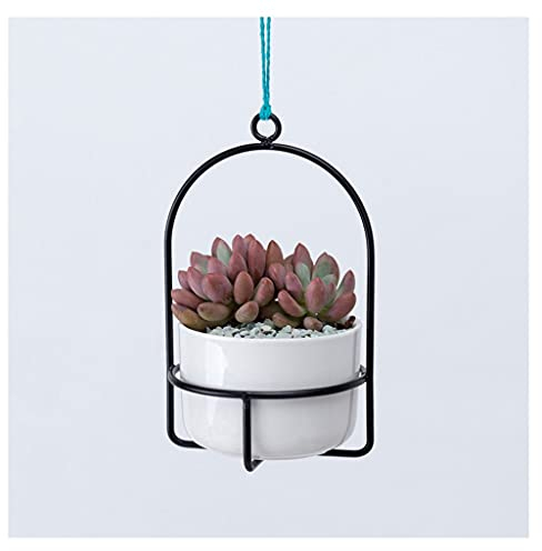 Hallenbehälterpflanzer Metall Pflanzenaufhänger Home Decoration Hängende Blumentopf für saftigem und Nadelkissen-Kaktus-Innen-Floating-Pflanzer, Nein Anlage inkl (Color : Black)