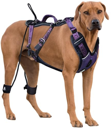 ANAFNI Easy Walk No Pull Hundegeschirr für große Hunde, robustes taktisches Hundegeschirr mit Griff, einfache Kontrolle und Training, bessere Leinen-Manieren, Lila, Größe L