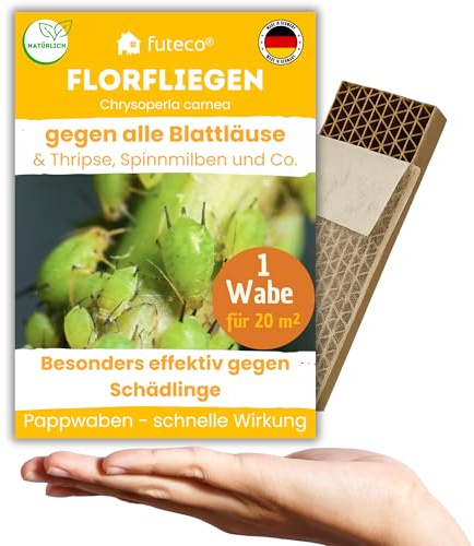 Florfliegenlarve gegen Blatt-/Wollläuse, Spinnmilben & Thripse – 1 Wabe | für ca. 20 m² - Wabe für besonders schnellen Effekt - starke Wirkung bei Gemüse-, Cannab.- & Zierpflanzen