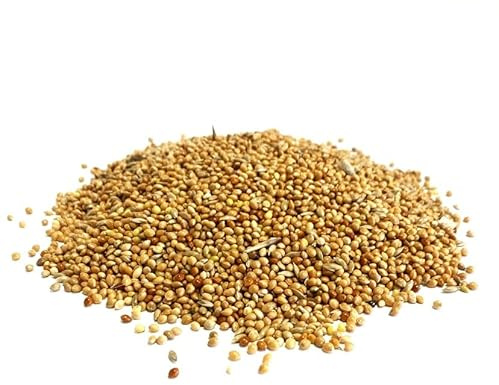 Maltbys' Stores 1904 Limited 1kg Budgie Seed Mixed Cage & Aviary Bird Food LGW