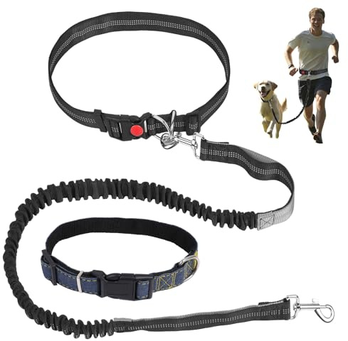 Hands Free Dog Lead with Collar: Bungee Waist Leash,Dog Running Belt,Pet Collar,Adjustable Shock Absorption,For Medium and Large Dogs,Suitable for Walking, Hiking, Training