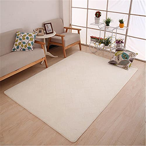 Aoojlo Alfombra de Terciopelo Coral Grueso de Color sólido Calidad Sofá Beige Suave Lavable Antideslizante Grande Rugs Rug Minimalista Moderna Sala De Estar Dormitorio Tatami Gateando Estera -60×90cm