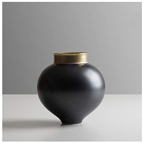 TOMYEUS Blumenvase Kleine Keramik-Vasen, Retro chinesische Vase Dekorationen, Blumen-Vase Handgefertigte Startseite Dekorative Vase, Teetisch Kunst, (Blau, Schwarz, Weiß) Vasen für Blumen (Color : C)