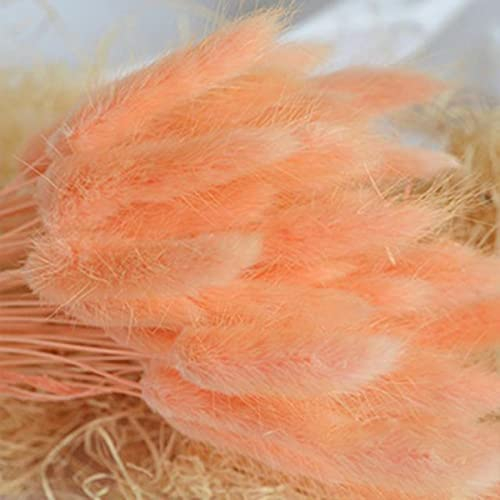 ESCATIC Material Shooting Requisiten Pflanzenstiele Pastoral Style Trockenblumensträuße Hasenschwänze Hasenschwanzgras Lagurus Ovatus-orange