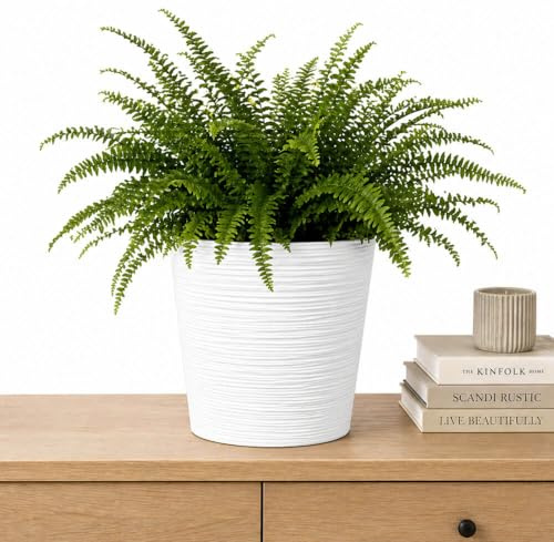 Gardening Naturally Fora Flowerpots, Stylish and Durable Plant Pots for Indoor and Outdoor Use (Round Pot 25cm - White)