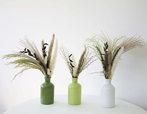 Decor Essentials Riga Vases Set of 3 Plain Apothecary Bottle Plain Single Stem Bud Vases for Dried Flowers (Green/White)