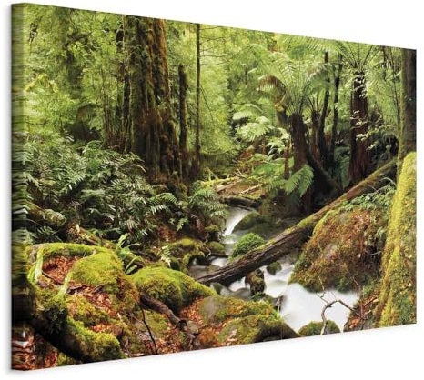 murando - Akustikbild Bäume Bach Landschaft, Schallschutz, Wohnzimmer, Büro