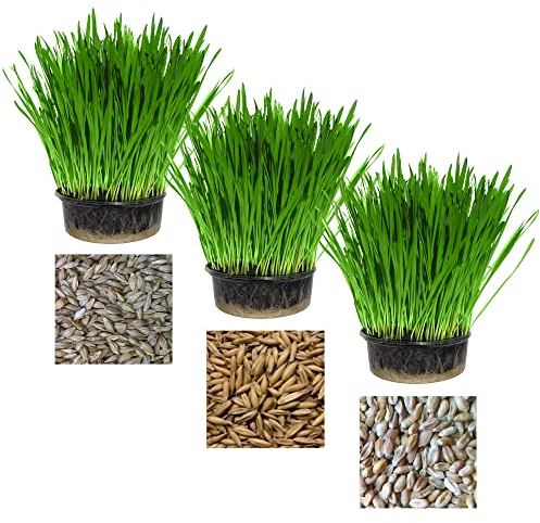 Cat FurNature - Pet Grass Variety Pack