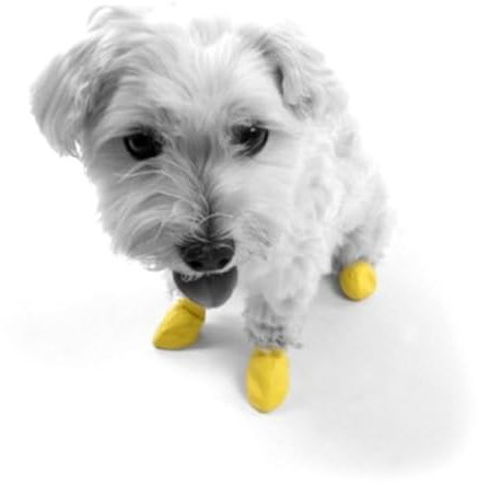 Ortocanis Hundeschuhe Pawz (Gummi) - Schutz, Traktionskontrolle, Irritationen, Wunden - Größe XXS