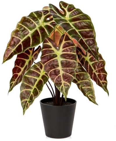 Briful Kunstpflanze Calathea Künstliche Dekopflanze Zebrina Alocasia Sanderiana Dekorative Real-Touch Kunstblumen Wie Echt Zimmerpflanze in Schwarzem Topf, Höhe 43 cm
