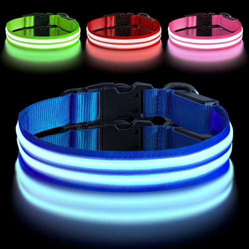 AUAUY LED-upplyst hundkrage, dubbel ljusremsa för husdjur, typ-C-port, laddning, justerbart sytt husdjurshalsband med D-ringspänne, vattentätt blinkande hundhalsband för stora hundar, blå-L