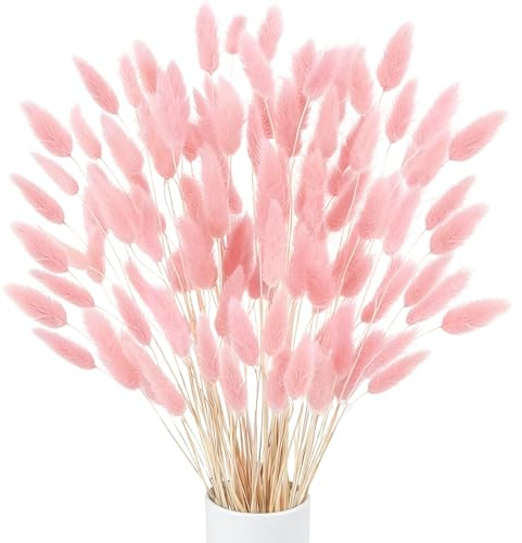 Zythrem 120Pcs Bunny Tails Dried Flowers Pink Bunny Tails Pampas Grass Decor Natural Rabbit Tails Grass Lagurus Ovatus Dried Grass Bouquet for Vase, Wedding, Boho Decor, Home, Flora Arrangement