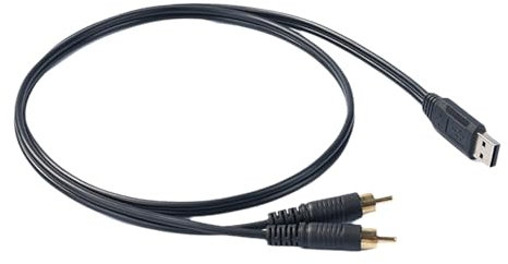 Kfwfuaee USB/USB C A 2RCA Cavo Audio 2RCA Tipo C A Maschio 2RCA A USB C Per Telefono Laptop Tablet Home Theater Amplificatori