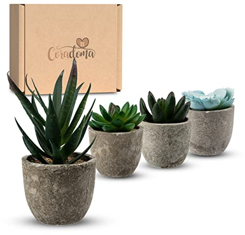 Coradoma Künstliche Pflanzen Mini 4er Set Grau Dekoration Kunstpflanzen im Topf | Wohnzimmer Deko modern Küchendeko | Kunstblume Sukkulente Fensterbank Schreibtisch Wanddeko Büro