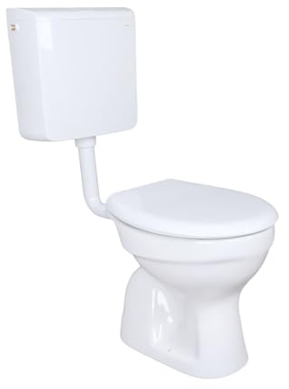 Belvit Geberit AP110 - Juego completo de inodoro de pie con salida vertical al suelo, cisterna de superficie Geberit AP110, asiento con dispositivo de descenso automático, cisterna profunda de
