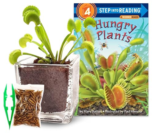 Nature Gift Store Venus Fly Trap Live Plant in 2.5 Glass Cube Pot with Educational Book, Venus Fly Trap Food, Feeding Tweezers - Carnivorous Plants Soil and Live Venus Flytrap