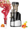 Slow Juicer Macchina spremiagrumi, 150w spremiagrumi per frutta e verdura con funzione di inversione/Spazzola e motore silenzioso Spremiagrumi a freddo fare fresco succo sano,Grey