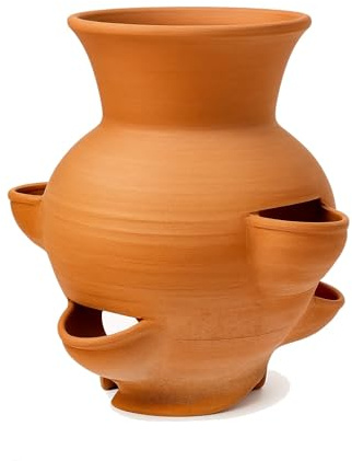 Generico Fragoliera in Terracotta H50 cm – Vaso Artigianale per Coltivazione di Fragole, Erbe Aromatiche e Piante – Fatta a Mano in Italia – Ideale per Giardini e Balconi