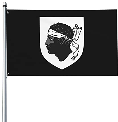Bras de corse drapeau 0,9 x 1,5 m patio jardin pelouse bienvenue décoration bannière intérieur maison fête drapeaux