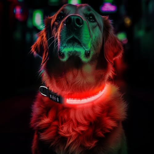 Leuchthalsband Hund Aufladbar, Einstellbare LED Hundehalsband Leuchtend mit 3 Lichtmodi in der Nacht Sicherheit für Kleine, Mittlere und Große Hunde Leuchthalsband, Rot, M