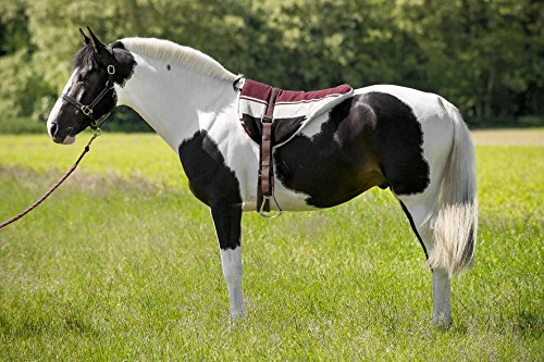 Reitkissen Norton braun/beige