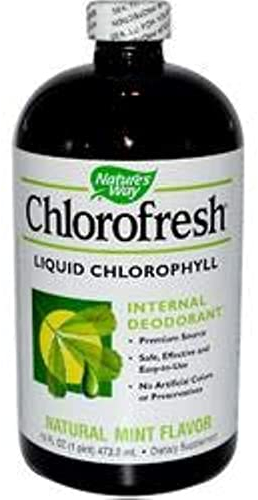 Nature's Way Chlorofresh, Mint Flavor, 16 Ounce, Glass Bottle (Pack of 2)