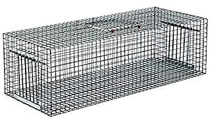 Gabbia cattura piccioni