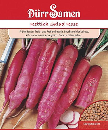 Dürr Samen 4268 Rettich Salad Rose (Rettichsamen)