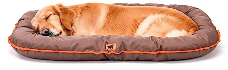 Ferplast Hundsäng, hundkudde, hundmadrass, OSCAR 100, anti-reptyg, vattenavvisande, hållbar, tvättbar, 100 x 70 x h 12 cm, brun
