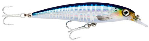 Rapala - X-Rap Saltwater Angelköder - Angelzubehör für große Raubfische - Kunstköder für alle Fischarten - Hergestellt in Estland | Inshore Hard Bait, Snook Redfish Speckled Forelle und Striper Angelköder