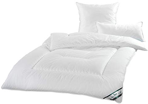 f.a.n. frankenstolz 54390-10622-10 Steppbett Texas / 155x220 cm