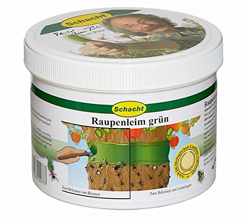 Schacht Raupenleim grün 500 g