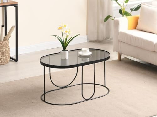 Vente-unique - Table Basse en métal et Verre fumé - Noir et Transparent - Pretoria