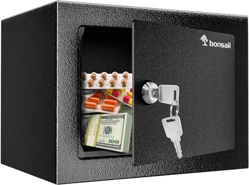Bonsaii Safe Box with Key, Steel Construction Money 6.6L Small Safe Box for Home, Security for Cash Jewelry, 17x23x17 CM