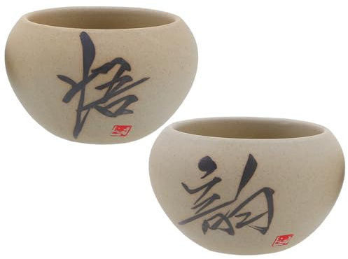 Abaodam 2 Piezas Macetas de Cerámica Estilo Chino para Suculentas y Cactus Maceteros Decorativos para y Oficina Diseño y Acabado Artesanal