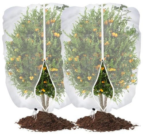 2 Pack 245 x 245cm Insect Netting Bag with Zipper & Drawstring & Lock, Garden Bug Netting Plant Cover for Vegetables Fruits, Fruit Tree netting Bird Protection, Shield Plants from Birds and Pests