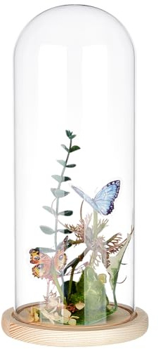 BENECREAT 11,7 x 30 cm evigt transparent blomglasskydd, cloche-burk i glas med blank mandel massiv träbas för gör-det-själv blomhantverk