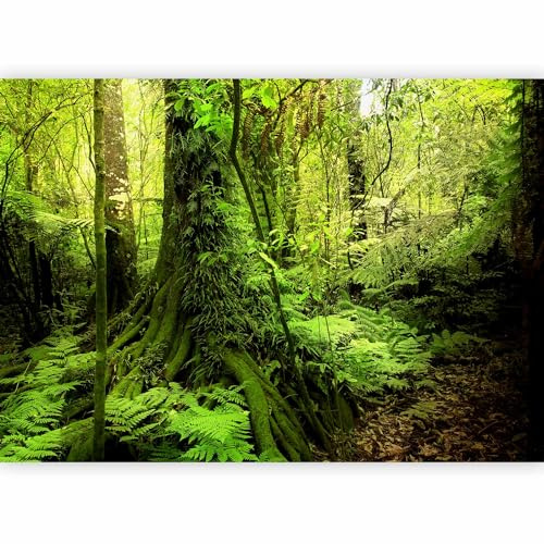 murando Fotomurales Bosque 400x280 cm XXL Papel pintado tejido no tejido Decoración de Pared decorativos Murales moderna Diseno Fotográfico Bosque Arbol Raíz naturaleza c-B-0537-a-a