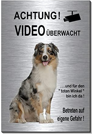 Australian Shepherd-Videoüberwachung-Hund-Schild-Hundeschild-150 x 100 x 3 mm-Aluminium Edelstahloptik-Hunde-Tierschild-Warnschild-Hinweisschild (1905-114 mit 2 Löcher mittig)