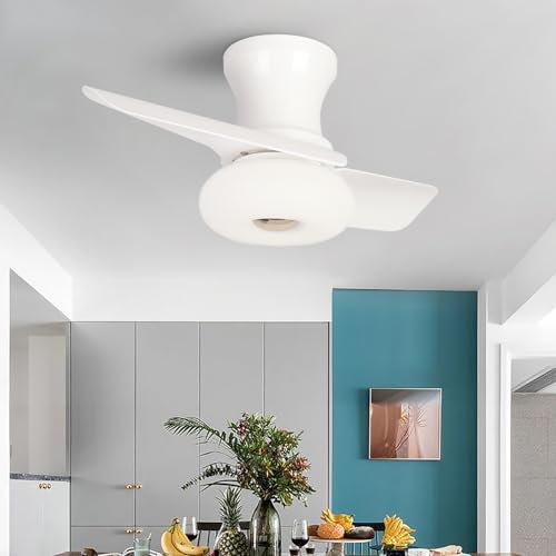 YFouCnd I Ceiling Fans with Lights, 24 Inch Low Profile Ceiling Fan with Light and Remote Control, Dimmable Reversible 6 Speed Noiseless Ceiling Fan Light for Bedroom Kitchen Dining Room Patio-WHite