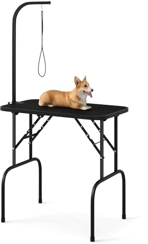 GYMAX Table de Toilettage pour Chien Chat Chiot Pliable, Bras Réglable en Hauteur, Plateau Antidérapante, Capacité Jusqu'à 100 KG, pour Douche d'animaux de Compagnie