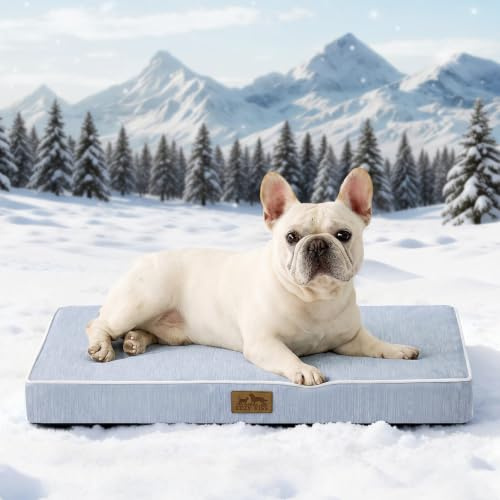 COZY KISS Cama Refrescante Perros Medianos M, Q-MAX>0.4 Cojín Ortopédico Transpirable Espuma Gel, Colchón Lavable Jaula, Funda Desmontable, Antideslizante, 76x51x7.5cm, Azul Claro