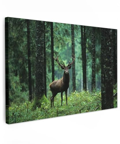 MuchoWow© Wandbilder Groß XXL Schlafzimmer Home Deko Wohnung Bild - Natur | 120x80 cm - Wohnzimmer Fotoleinwand Wand Bilder Leinwand Wall Decor Hirsch - Rotwild - Reh - Wald - Bäume - Tiere