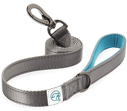 Embark Adventure Dog Lead - Strong & Sturdy Nylon Leash for Small, Medium & Large Breed Dogs - Heavy Duty Dog Training Lead (Blue)