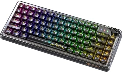 XXINGYULI Tastiera meccanica RGB cablata personalizzata Design trasparente Ufficio da gioco impermeabile sostituibile a caldo compatibile con vari sistemi(Black-Three modes)