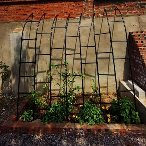 Gartenspalier für Kletterpflanzen im Freien, Rankgitter aus schwarzem Metall, Rankgerüst für Töpfe, dekorative Pflanzen-Wandhalterungen, Kletterständer für Blumen, Gemüse, Obst und Rosen im Freien – 1